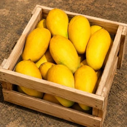 <span style="color: #007d02;">Sindhri Gift Boxes<br><span style="color: #000000;">10 KG</span>