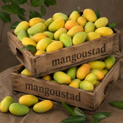 <span style="color: #007d02;">DusehriGift Boxes<br> <span style="color: #000000;">10 KG</span>