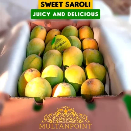 Saroli Mango (Fast & Free TCS Delivery)