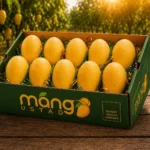 <span style="color: #007d02;">Anwar Ratol Export Quality<br></span><span style="color: #000000;">5 & 8 KG</span>
