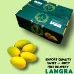 <span style="color: #007d02;">Langra Mango Export Quality<br></span><span style="color: #000000;"> 5 & 8 KG</span>